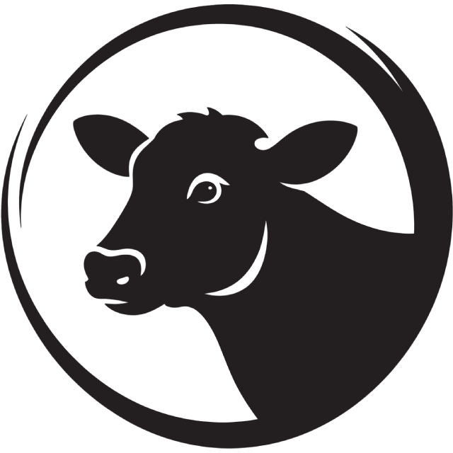 Dairy Cattle
